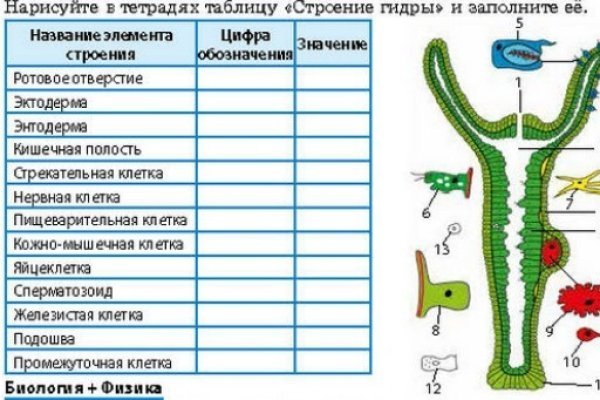 Что можно купить в кракене